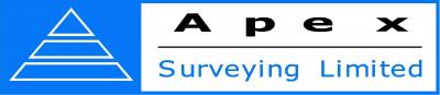 Apex Consulting
